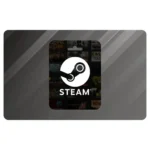 steam100